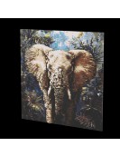 CBA Elefant 70